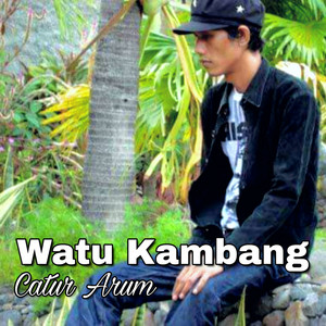 Download Lagu Catur Arum - Watu Kambang MP3 Download Lagu Catur Arum - Watu Kambang MP3