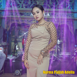 Download Lagu Nurma Paijah Adella - Racun Asmara MP3 Download Lagu Nurma Paijah Adella - Racun Asmara MP3