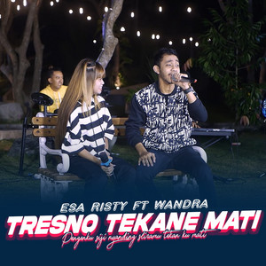 Download Lagu Esa Risty, Wandra Mahardika - Tresno Tekane Mati MP3