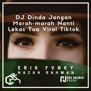Download Lagu ERIK FUNKY - DJ Dinda Jangan Marah-marah Nanti Lekas Tua Viral Tiktok MP3 Download Lagu ERIK FUNKY - DJ Dinda Jangan Marah-marah Nanti Lekas Tua Viral Tiktok MP3