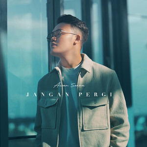Download Lagu Awan Senna - Jangan Pergi MP3