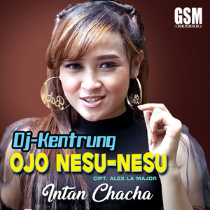 Download Lagu Intan Chacha - Ojo Nesu Nesu MP3 Download Lagu Intan Chacha - Ojo Nesu Nesu MP3