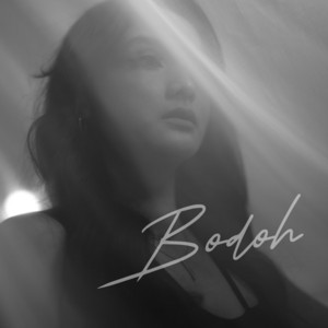 Download Lagu Metha Zulia - Bodoh MP3