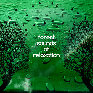 Download Lagu Nature Sounds - A Walk in the Country MP3 Download Lagu Nature Sounds - A Walk in the Country MP3