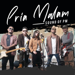 Download Lagu Sound Of PM - Pria Malam MP3 Download Lagu Sound Of PM - Pria Malam MP3