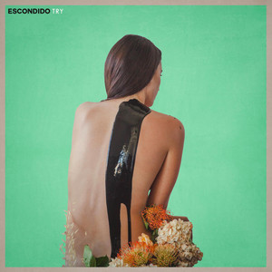 Download Lagu Escondido - Try MP3 Download Lagu Escondido - Try MP3