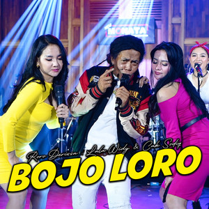 Download Lagu Roro Derissa, Lala Widy, Cak Sodiq - Bojo Loro MP3