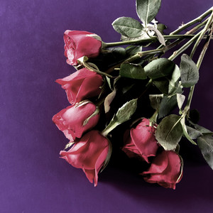 Download Lagu Krameri - Dead Roses MP3 Download Lagu Krameri - Dead Roses MP3