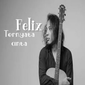 Download Lagu Felix - Ternyata Cinta MP3