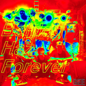 Download Lagu Gee - Boldog Haz Forever MP3