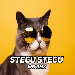 Download Lagu WN RMX - DJ STECU STECU MP3 Download Lagu WN RMX - DJ STECU STECU MP3