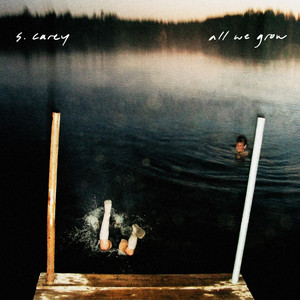 Download Lagu S. Carey - In the Stream MP3 Download Lagu S. Carey - In the Stream MP3