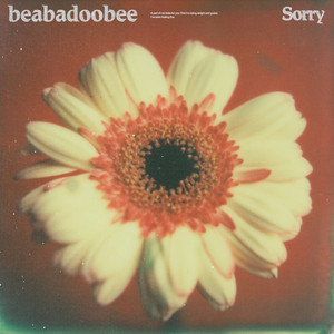 Download Lagu beabadoobee - Sorry - Alternate Edit MP3 Download Lagu beabadoobee - Sorry - Alternate Edit MP3