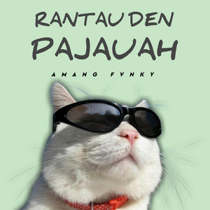 Download Lagu Amang Fvnky - DJ RANTAU DEN PAJAUAH MP3