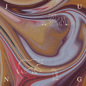 Download Lagu JUNG - Polar Bears MP3 Download Lagu JUNG - Polar Bears MP3