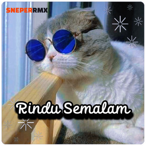 Download Lagu SNEPER RMX - Rindu Semalam MP3 Download Lagu SNEPER RMX - Rindu Semalam MP3