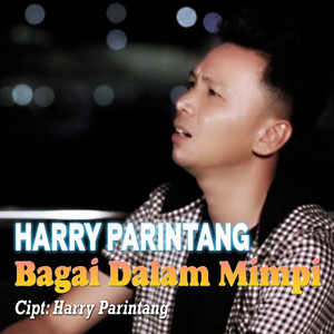 Download Lagu Harry Parintang - Bagai Dalam Mimpi MP3 Download Lagu Harry Parintang - Bagai Dalam Mimpi MP3