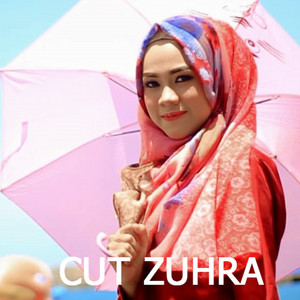 Download Lagu Cut Zuhra - Teman Biasa MP3