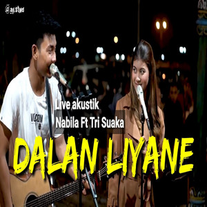 Download Lagu TRI AYU - Dalan Liyane MP3 Download Lagu TRI AYU - Dalan Liyane MP3