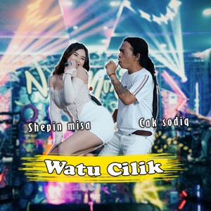 Download Lagu Shepin Misa, Cak Sodiq - Watu Cilik MP3