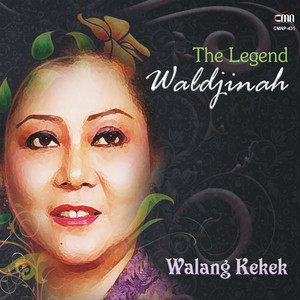 Download Lagu Waldjinah - Bengawan Solo MP3 Download Lagu Waldjinah - Bengawan Solo MP3