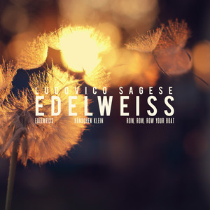 Download Lagu Ludovico Sagese - Row, row, row your boat MP3