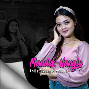 Download Lagu Ardia Diwang Probowati - Mandek Nangis MP3