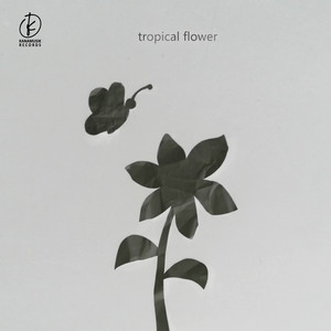 Download Lagu Tropical Flower - Sinar Senja MP3 Download Lagu Tropical Flower - Sinar Senja MP3
