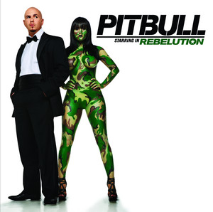 Download Lagu Pitbull - I Know You Want Me (Calle Ocho) MP3 Download Lagu Pitbull - I Know You Want Me (Calle Ocho) MP3