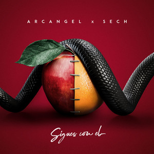 Download Lagu Dimelo Flow, Arcangel, Sech - Sigues Con El MP3 Download Lagu Dimelo Flow, Arcangel, Sech - Sigues Con El MP3