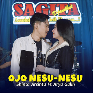 Download Lagu Shinta Arsinta, Arya Galih - Ojo Nesu Nesu MP3 Download Lagu Shinta Arsinta, Arya Galih - Ojo Nesu Nesu MP3