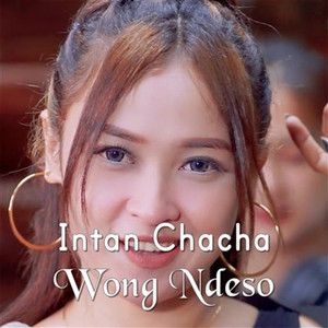 Download Lagu Intan Chacha - Wong Ndeso MP3 Download Lagu Intan Chacha - Wong Ndeso MP3