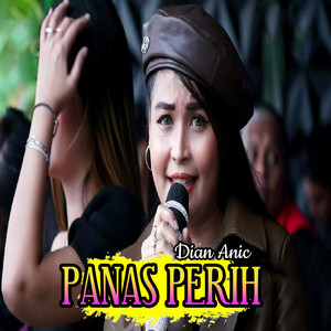 Download Lagu Dian Anic - Panas Perih MP3