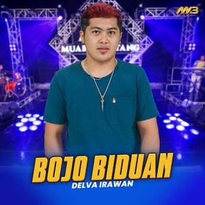 Download Lagu Delva Irawan - Bojo Biduan - Cover MP3