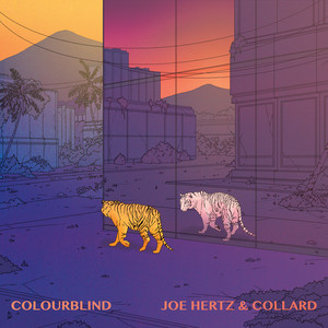 Download Lagu Joe Hertz, Collard - Colourblind MP3 Download Lagu Joe Hertz, Collard - Colourblind MP3