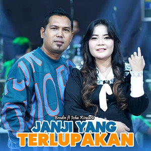 Download Lagu Brodin, New Pallapa, Icha Kiswara - Janji Yang Terlupakan MP3