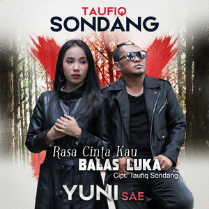 Download Lagu Taufiq Sondang, Yuni Sae - Rasa Cinta Kau Balas Luka MP3
