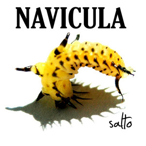 Download Lagu Navicula - Budi Si Berani Mati MP3 Download Lagu Navicula - Budi Si Berani Mati MP3