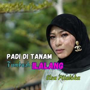 Download Lagu Elsa Pitaloka - Padi Di Tanam Tumbuah Ilalang MP3 Download Lagu Elsa Pitaloka - Padi Di Tanam Tumbuah Ilalang MP3