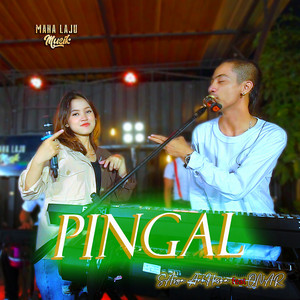 Download Lagu Sasya Arkhisna, Onar - Pingal MP3 Download Lagu Sasya Arkhisna, Onar - Pingal MP3