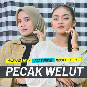 Download Lagu Missel Laura D, Nawang Sasih - PECAK WELUT MP3