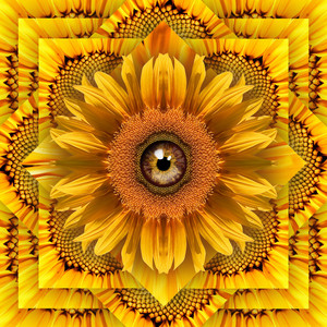 Download Lagu The Artchemists - Scattered Flowers MP3 Download Lagu The Artchemists - Scattered Flowers MP3