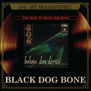 Download Lagu Black Dog Bone - Joget Sindir Pesan MP3