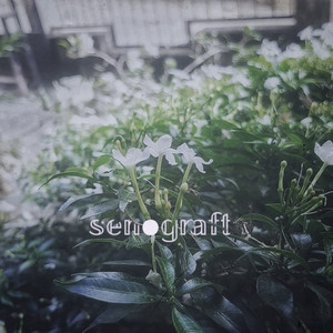 Download Lagu Senograft - Man Against Anxiety MP3 Download Lagu Senograft - Man Against Anxiety MP3