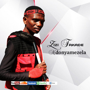 Download Lagu Zizi Fakade - Andilazi Ityala Ndibulawelani MP3 Download Lagu Zizi Fakade - Andilazi Ityala Ndibulawelani MP3