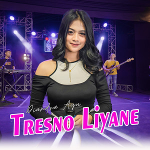 Download Lagu Diandra Ayu - Tresno Liyane MP3