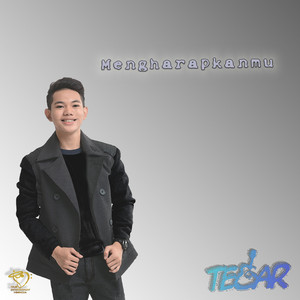 Download Lagu Tegar Septian - Mengharapkanmu MP3