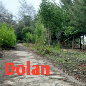 Download Lagu susi santi - Dolan MP3