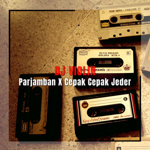 Download Lagu DJ Violin - DJ Parjamban X Goyang Pargoy MP3 Download Lagu DJ Violin - DJ Parjamban X Goyang Pargoy MP3
