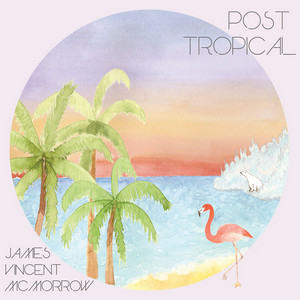 Download Lagu James Vincent McMorrow - Cavalier MP3
